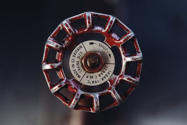 pexels-little-visuals-1934